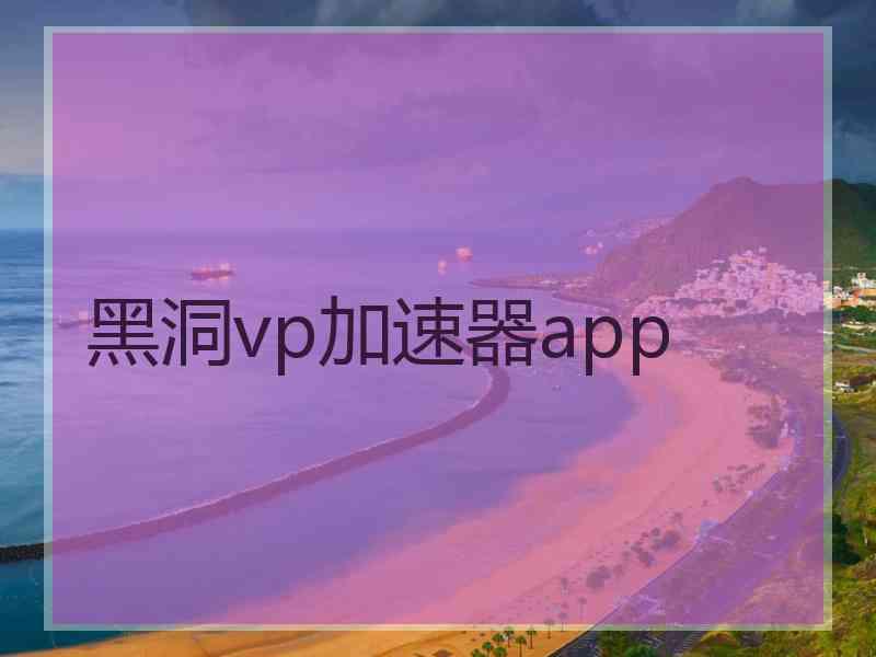 黑洞vp加速器app