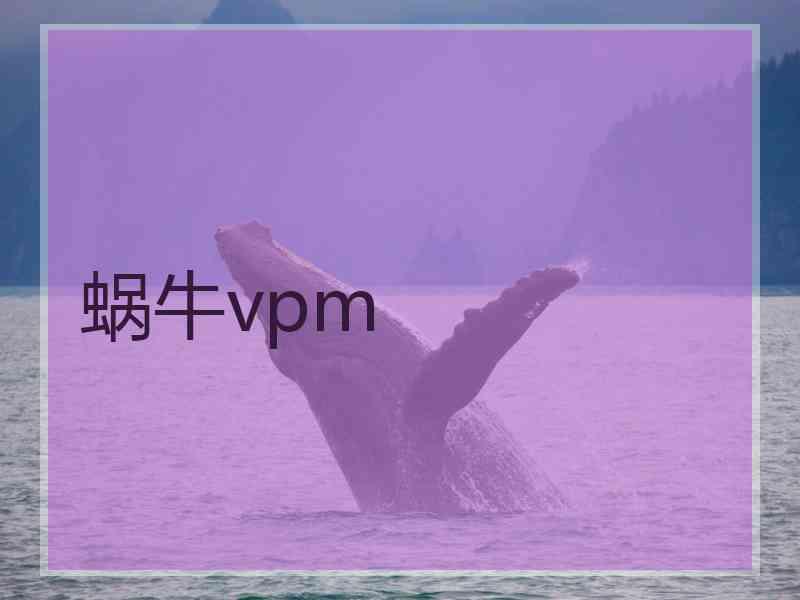 蜗牛vpm