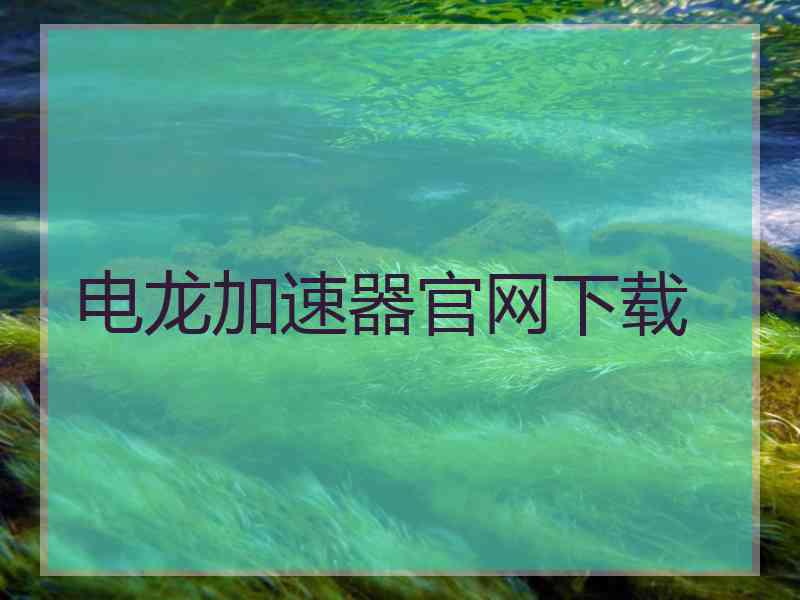 电龙加速器官网下载