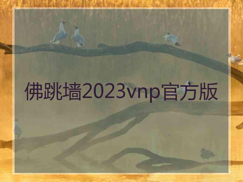 佛跳墙2023vnp官方版