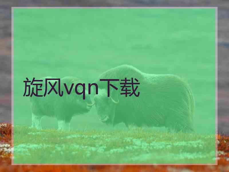 旋风vqn下载