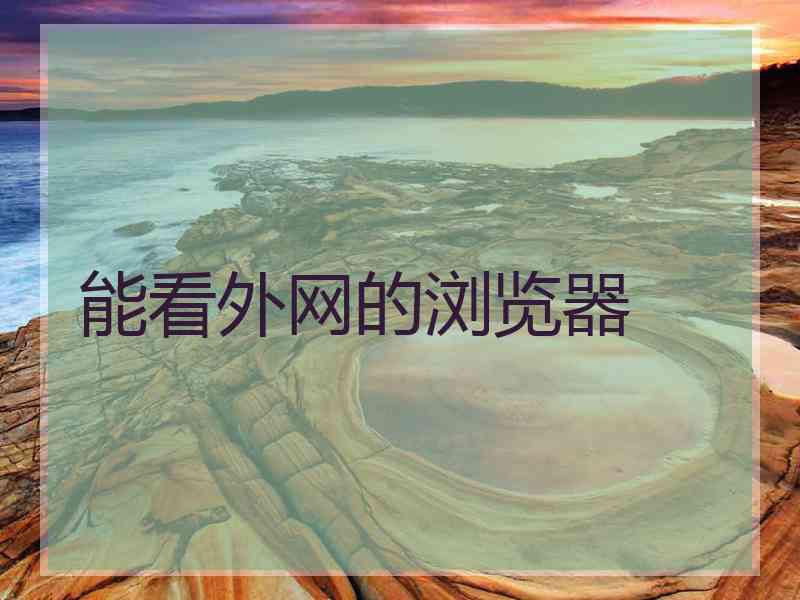 能看外网的浏览器