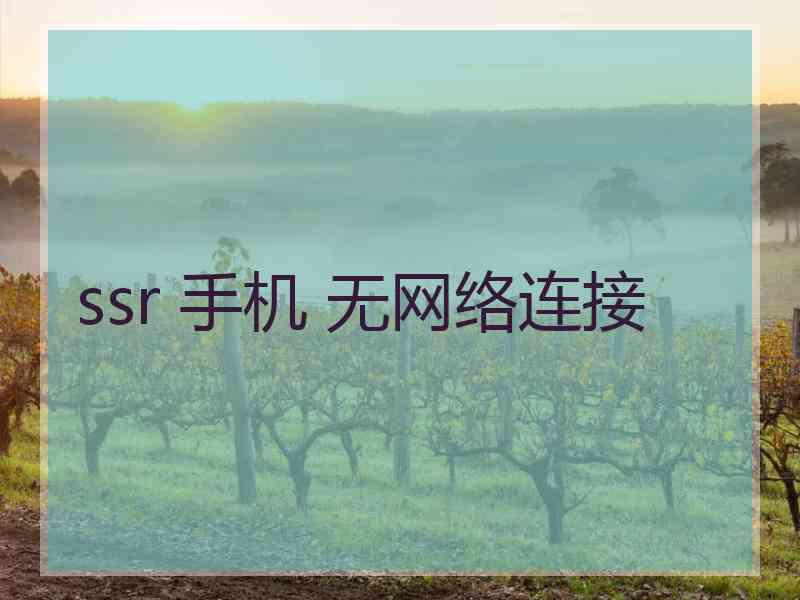 ssr 手机 无网络连接