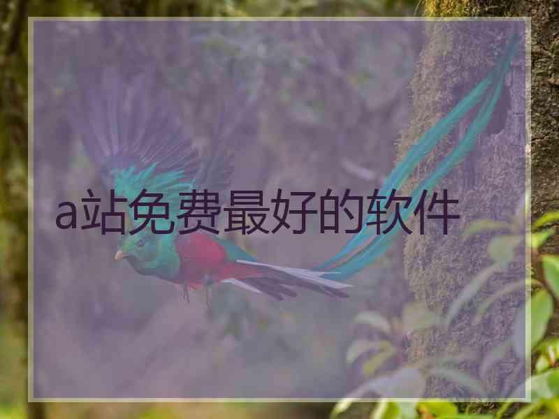 a站免费最好的软件