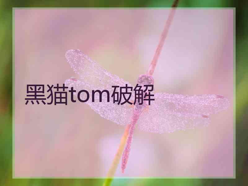 黑猫tom破解