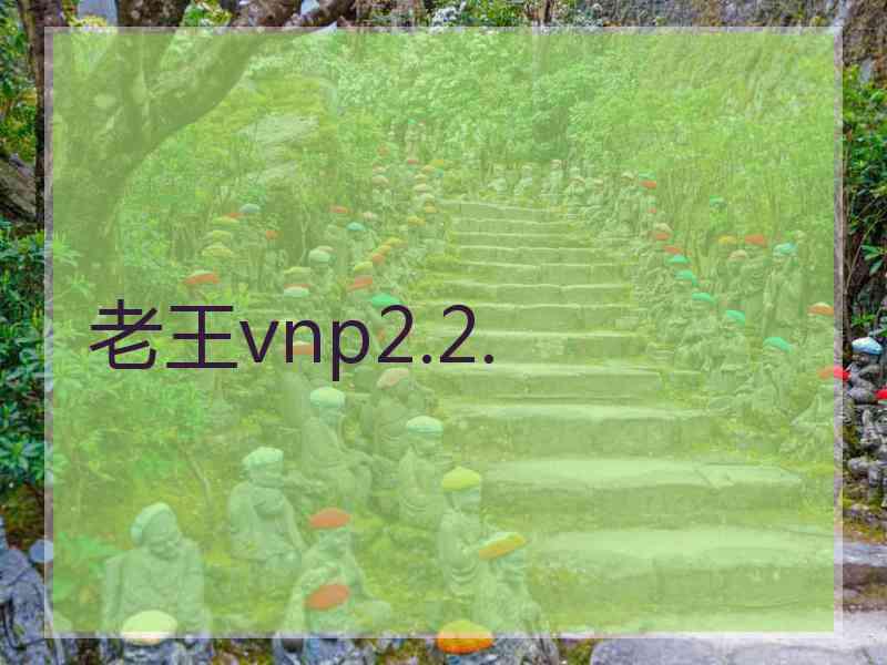 老王vnp2.2.