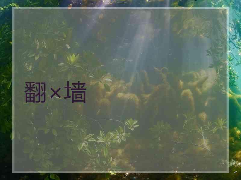 翻×墙