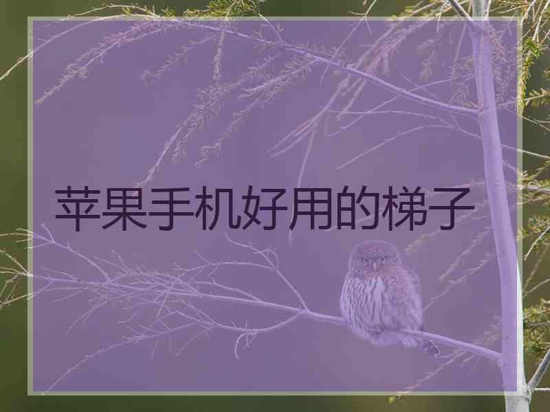 苹果手机好用的梯子