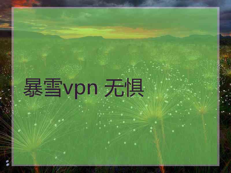 暴雪vpn 无惧