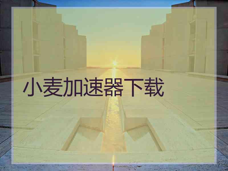 小麦加速器下载