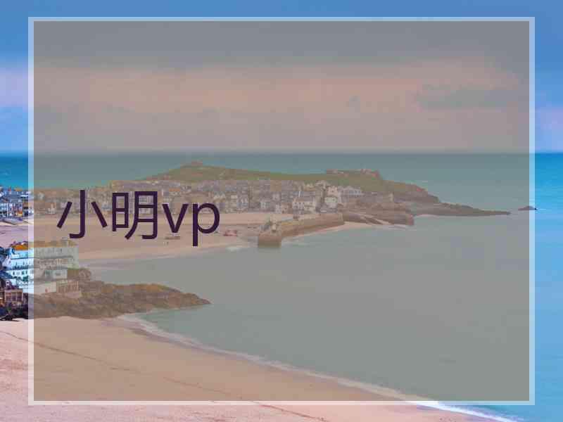 小明vp