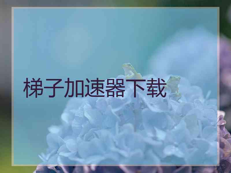 梯子加速器下载