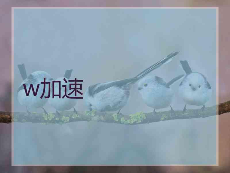w加速