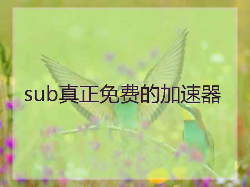sub真正免费的加速器