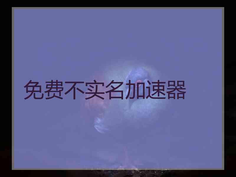 免费不实名加速器