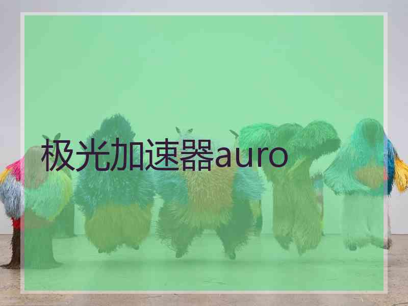 极光加速器auro