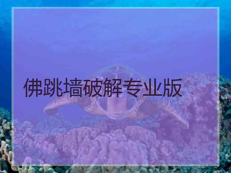 佛跳墙破解专业版