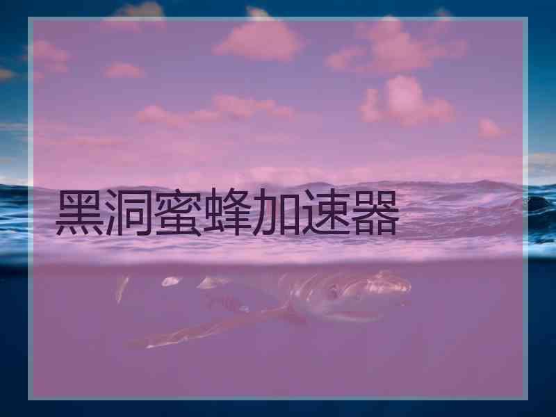 黑洞蜜蜂加速器