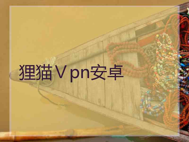 狸猫Ⅴpn安卓