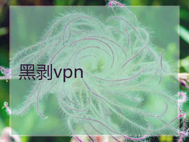 黑剥vpn