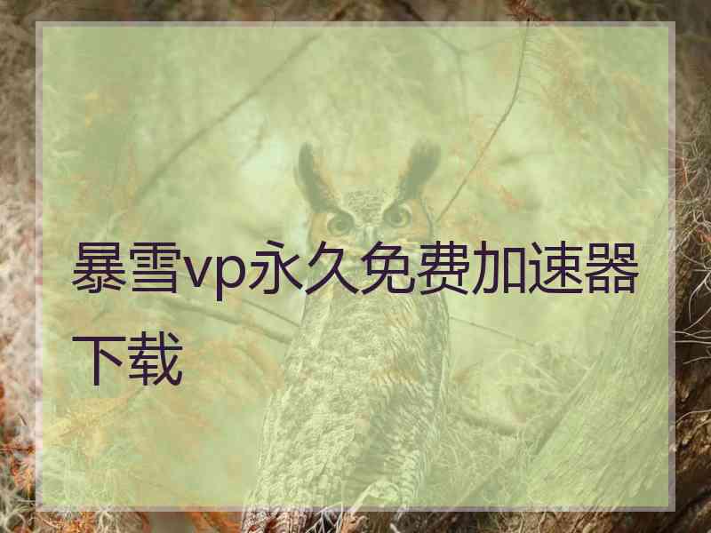 暴雪vp永久免费加速器下载