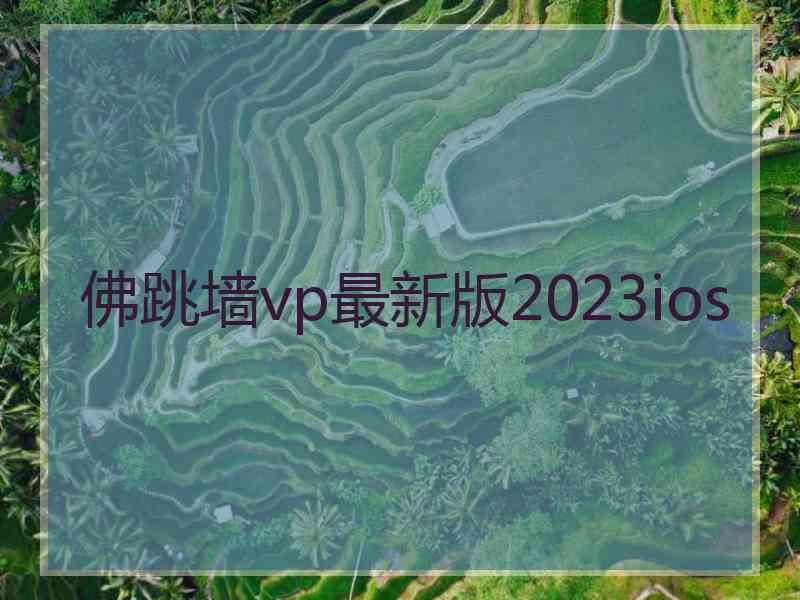 佛跳墙vp最新版2023ios