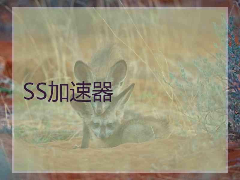 SS加速器