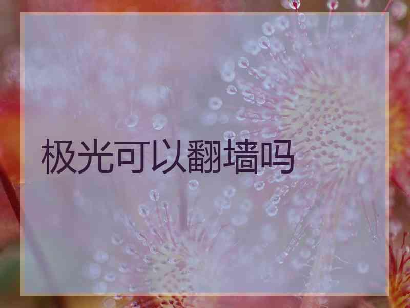 极光可以翻墙吗