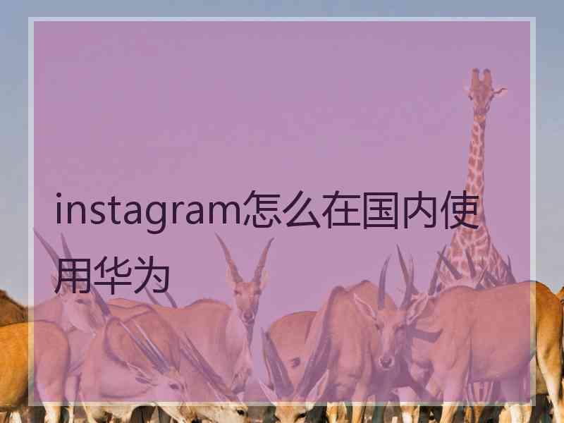 instagram怎么在国内使用华为