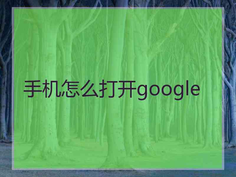 手机怎么打开google