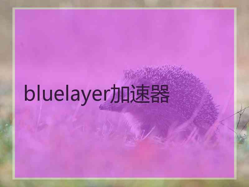 bluelayer加速器