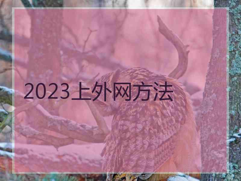 2023上外网方法