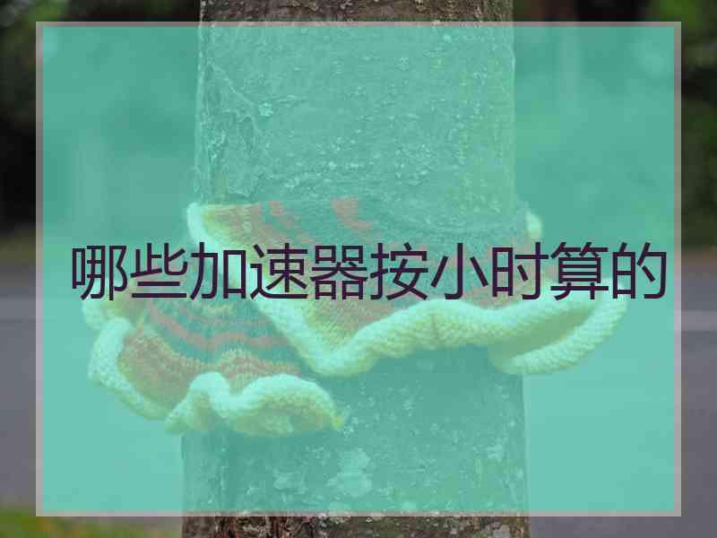 哪些加速器按小时算的