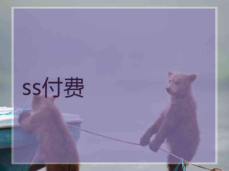 ss付费