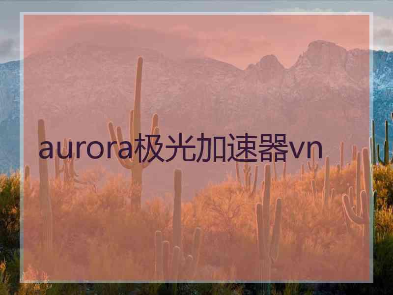 aurora极光加速器vn