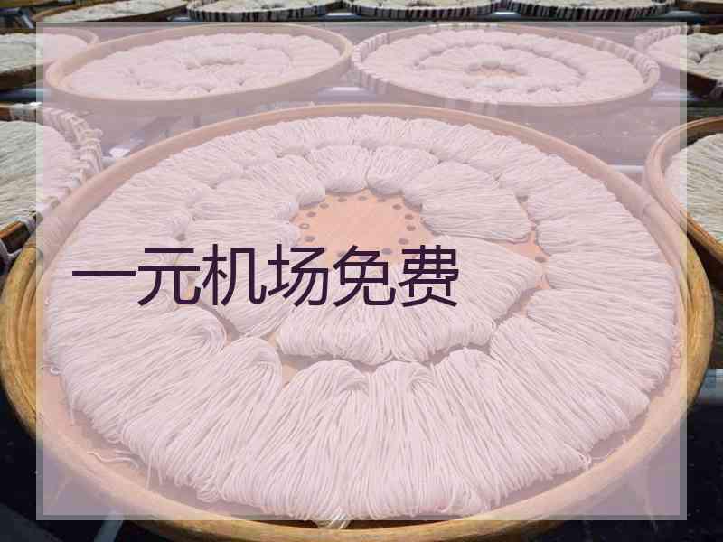 一元机场免费