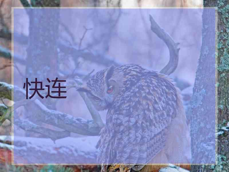 快连