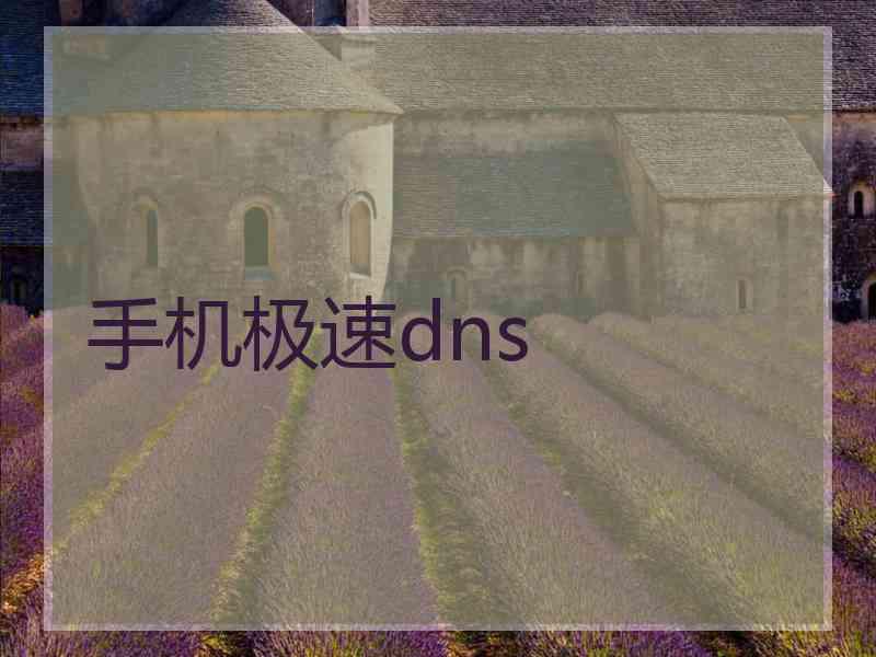手机极速dns