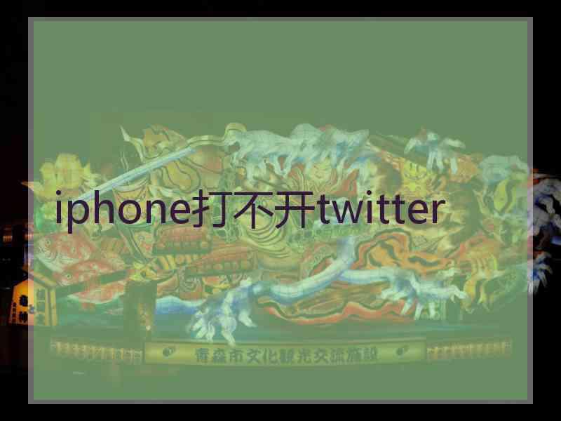 iphone打不开twitter