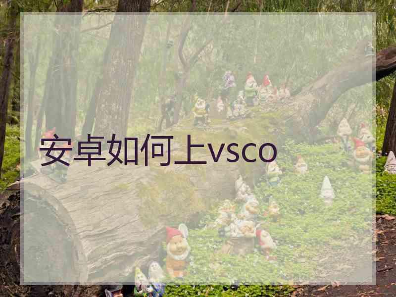 安卓如何上vsco