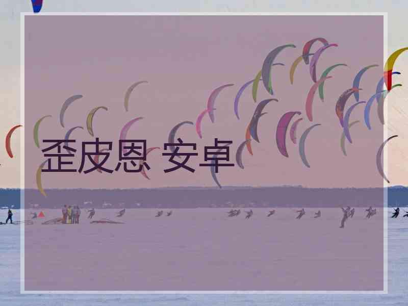 歪皮恩 安卓