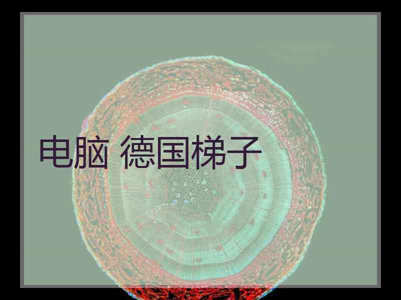 电脑 德国梯子