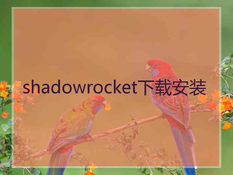 shadowrocket下载安装