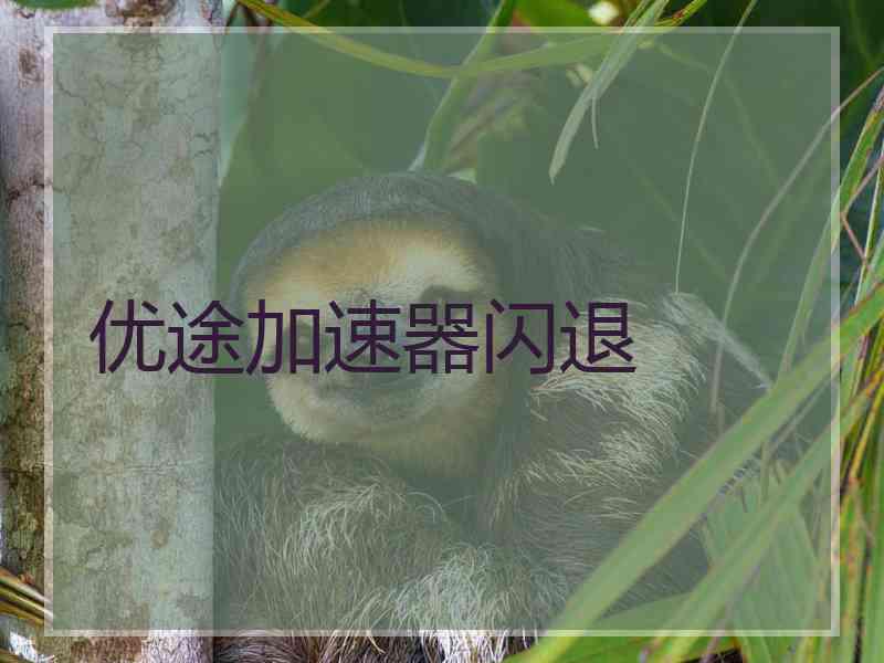 优途加速器闪退