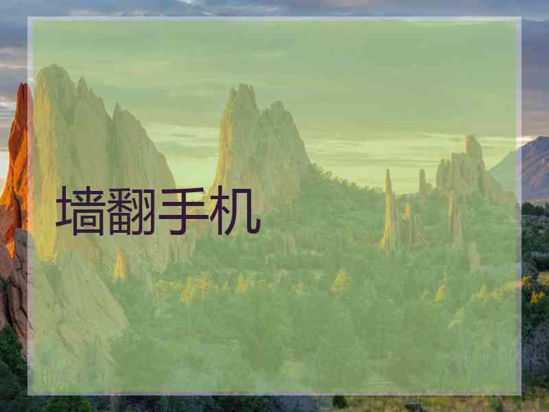 墙翻手机