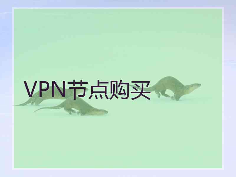 VPN节点购买