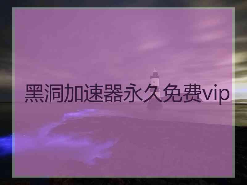 黑洞加速器永久免费vip