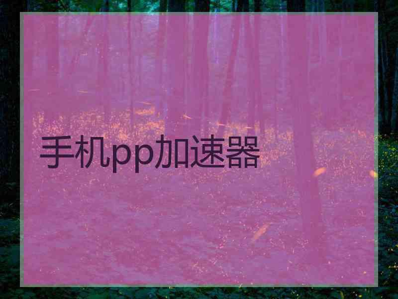 手机pp加速器
