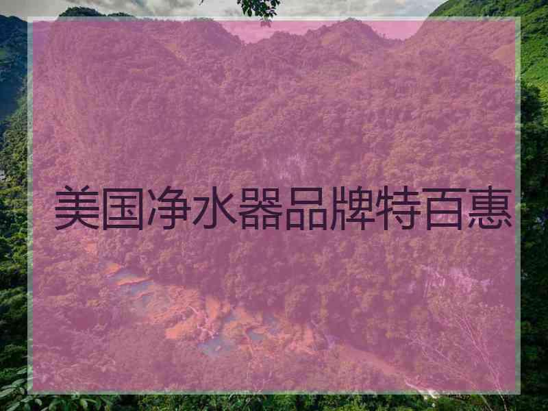 美国净水器品牌特百惠