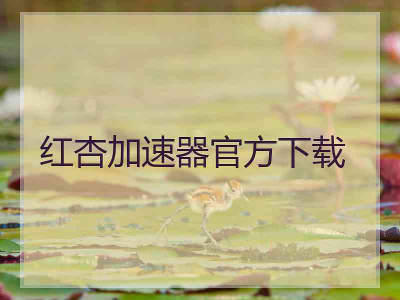 红杏加速器官方下载